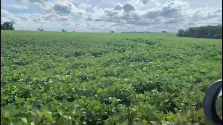 Imagem Chácara à Venda, 38 m² em Rural - Coronel Macedo