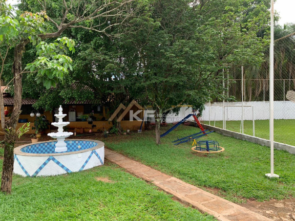 Imagem Imóvel com 3 Quartos à Venda, 5.000 m² em Jardim José Figueira - Ribeirão Preto