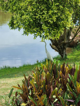 Imagem Terreno em Condomínio à Venda, 718 m² em San Fernando Valley - Atibaia Imagem Terreno em Condomínio à Venda, 718 m² em San Fernando Valley - Atibaia