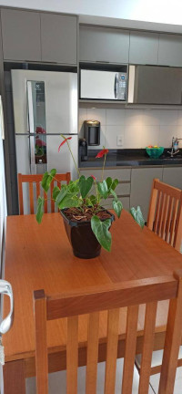 Imagem Apartamento com 2 Quartos à Venda, 58 m² em Residencial Alexandria - Várzea Paulista Imagem Apartamento com 2 Quartos à Venda, 58 m² em Residencial Alexandria - Várzea Paulista