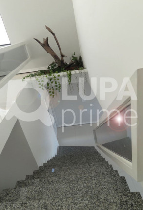 Imagem Casa com 3 Quartos à Venda, 288 m² em Vila Maria - São Paulo Imagem Casa com 3 Quartos à Venda, 288 m² em Vila Maria - São Paulo