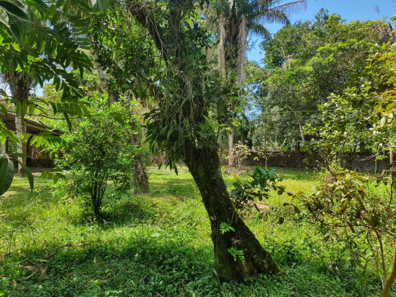 Imagem Casa com 3 Quartos à Venda, 2 m² em Jardim São Fernando - Itanhaém Imagem Casa com 3 Quartos à Venda, 2 m² em Jardim São Fernando - Itanhaém