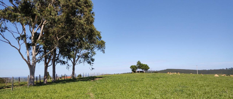 Imagem Fazenda à Venda, 1.016 m² em Bairro Dos Leites - Piedade Imagem Fazenda à Venda, 1.016 m² em Bairro Dos Leites - Piedade