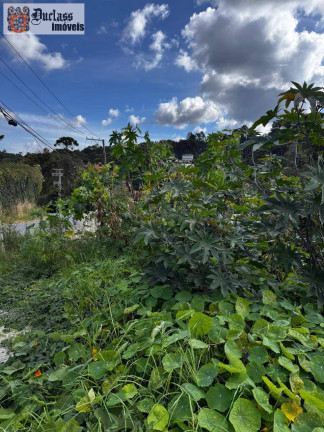 Terreno à Venda, 850 m² em Alto Do Capivari - Campos Do Jordão