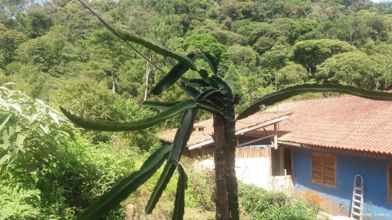 Imagem Imóvel com 3 Quartos à Venda, 13.504 m² em Somma - Ribeirão Pires