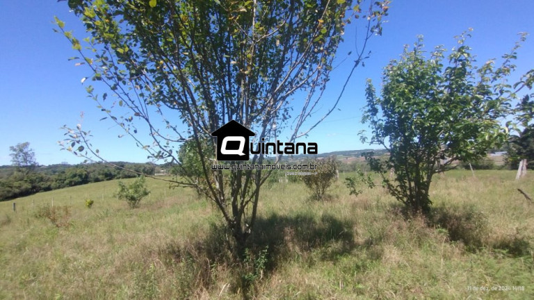 Imagem Imóvel com 2 Quartos à Venda, 50.000 m² em Capela Da Buena - Morro Redondo