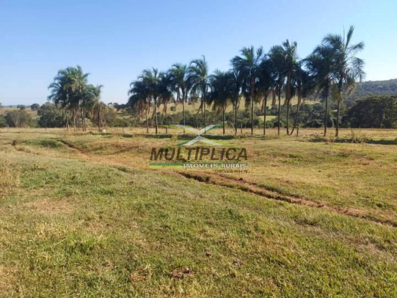 Imagem Fazenda à Venda, 251 m² em Ituiutaba Imagem Fazenda à Venda, 251 m² em Ituiutaba