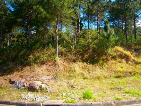 Imagem Terreno à Venda, 747 m² em Itacorubi - Florianópolis