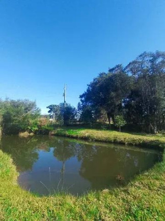 Imagem Imóvel com 7 Quartos à Venda, 32.000 m² em Centro - Tijucas Do Sul