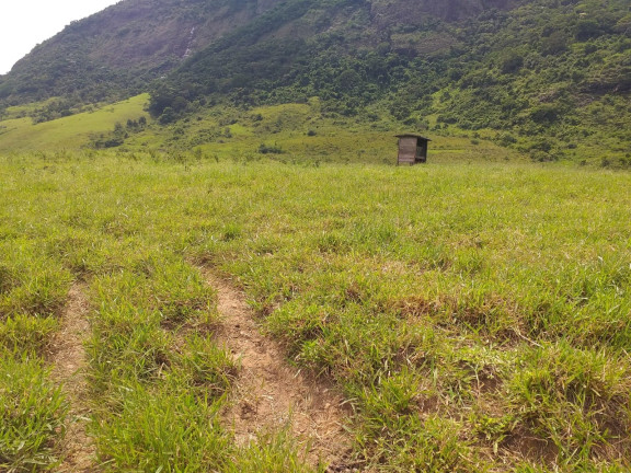 Imagem Fazenda à Venda, 1.930.000 m² em Centro - Trajano De Morais