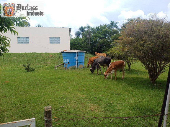 Imagem Chácara com 4 Quartos à Venda, 18.393 m² em Pedra Bela - Pedra Bela Imagem Chácara com 4 Quartos à Venda, 18.393 m² em Pedra Bela - Pedra Bela