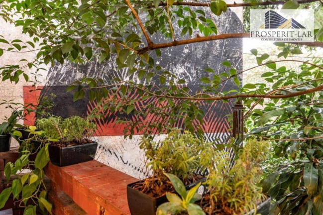 Imagem Casa com 3 Quartos à Venda, 128 m² em Vila Mariana - São Paulo