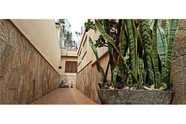 Imagem Casa com 3 Quartos à Venda,  em Vila Monumento - São Paulo
