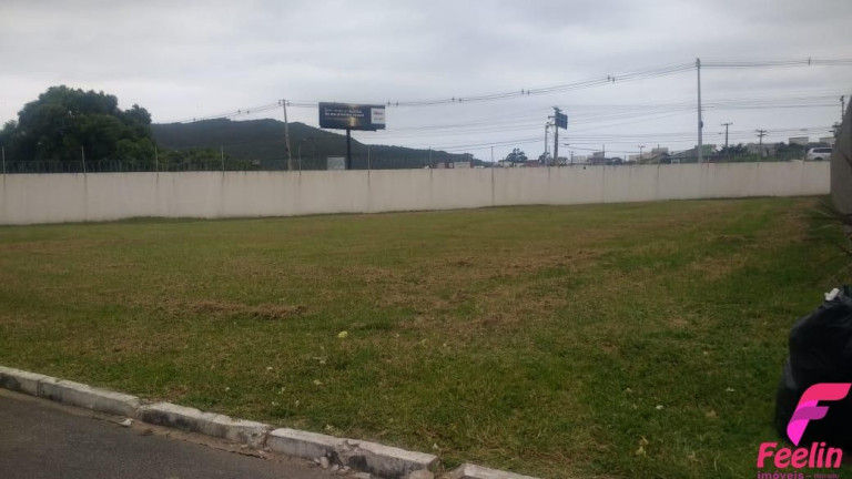 Imagem Terreno à Venda, 586 m² em Campeche - Florianópolis