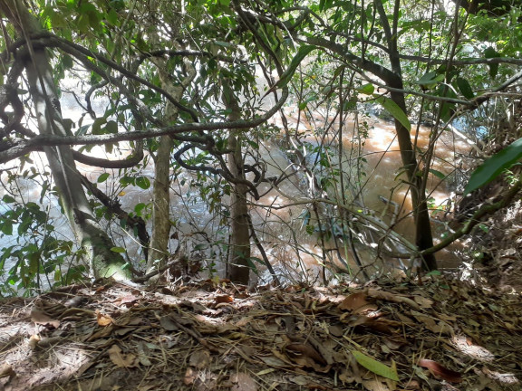 Imagem Imóvel com 1 Quarto à Venda, 21.000 m² em Zona Rural - Palmeiras (dois Irmãos Do Buriti)