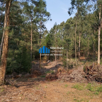Imagem Imóvel Comercial à Venda, 9 m² em Integração - Garibaldi Imagem Imóvel Comercial à Venda, 9 m² em Integração - Garibaldi