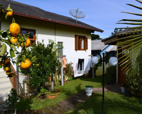 Imagem Imóvel com 3 Quartos à Venda, 245 m² em Br116 - Nova Petrópolis