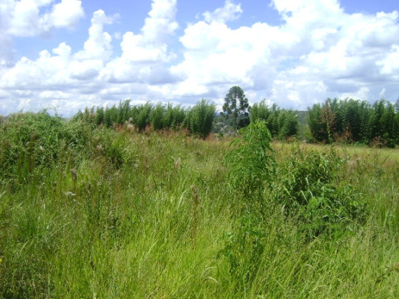 Imagem Terreno à Venda, 15.700 m² em Acesso Para Carretas - Mairiporã Imagem Terreno à Venda, 15.700 m² em Acesso Para Carretas - Mairiporã