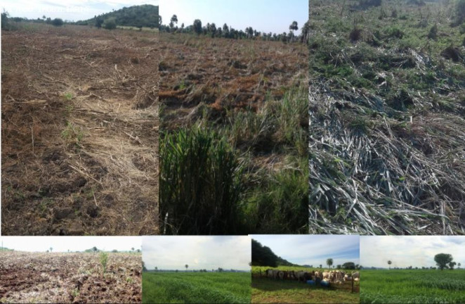 Imagem Fazenda à Venda, 4.800 m² em Rural - Porto Murtinho