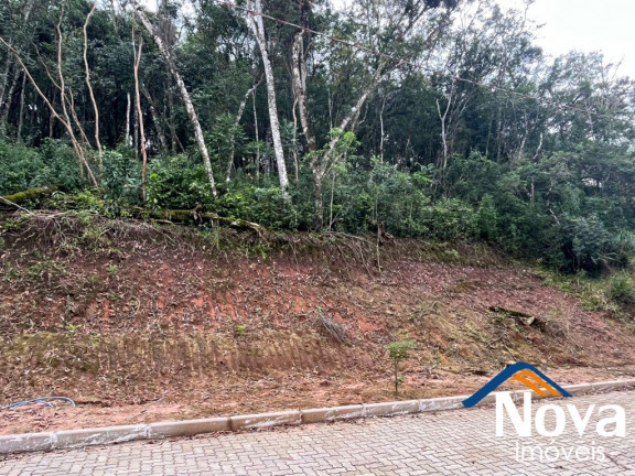 Imagem Terreno à Venda, 509 m² em Joaneta - Picada Café Imagem Terreno à Venda, 509 m² em Joaneta - Picada Café