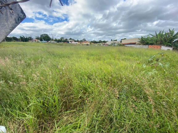 Imagem Terreno à Venda, 7.000 m² em Vila São João - Sarapuí Imagem Terreno à Venda, 7.000 m² em Vila São João - Sarapuí