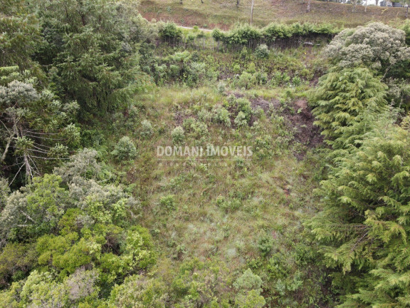 Imagem Imóvel à Venda, 1.500 m² em Região De Descansópolis - Campos Do Jordão Imagem Imóvel à Venda, 1.500 m² em Região De Descansópolis - Campos Do Jordão