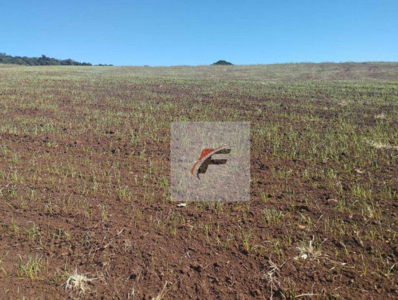 Imagem Fazenda à Venda, 3.678.400 m² em Zona Rural - Palmital Imagem Fazenda à Venda, 3.678.400 m² em Zona Rural - Palmital