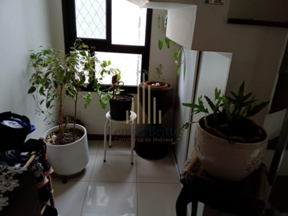 Imagem Imóvel com 3 Quartos à Venda, 141 m² em Canela - Salvador Imagem Imóvel com 3 Quartos à Venda, 141 m² em Canela - Salvador