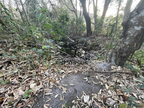 Imagem Chácara à Venda, 33.300 m² em Gameleira - Florestal