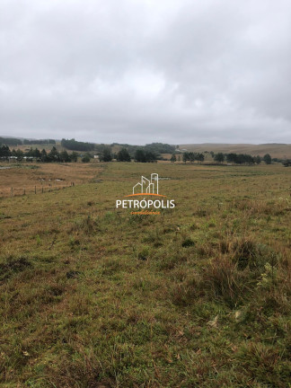 Imagem Terreno à Venda, 20.000 m² em área Rural De Caxias Do Sul - Caxias Do Sul