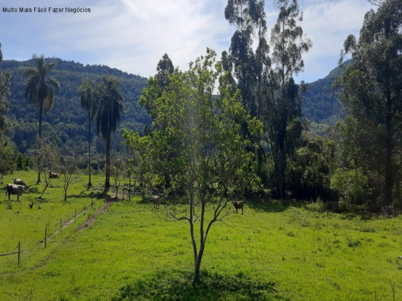 Imagem Terreno à Venda, 8 m² em Linha Temerária - Nova Petrópolis Imagem Terreno à Venda, 8 m² em Linha Temerária - Nova Petrópolis