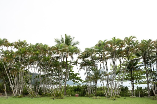 Imagem Casa de Condomínio com 8 Quartos à Venda, 1.200 m² em Praia Dura - Ubatuba