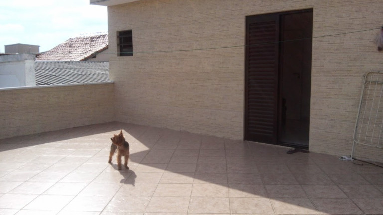 Imagem Casa com 3 Quartos à Venda, 200 m² em Vila Guarani (z Sul) - São Paulo Imagem Casa com 3 Quartos à Venda, 200 m² em Vila Guarani (z Sul) - São Paulo