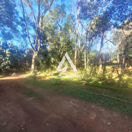 Imagem Fazenda à Venda, em Educacional - Cruz Alta Imagem Fazenda à Venda, em Educacional - Cruz Alta