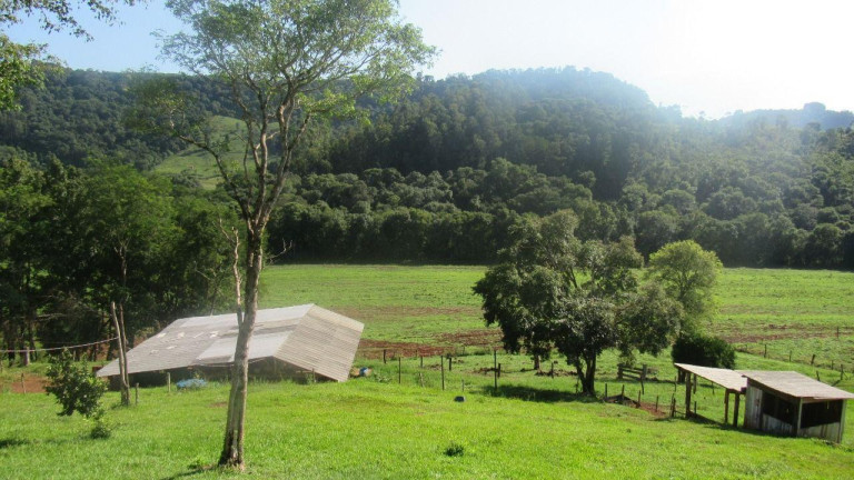 Imagem Terreno à Venda, 177.000 m² em Interior - Concórdia Imagem Terreno à Venda, 177.000 m² em Interior - Concórdia