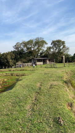 Imagem Chácara com 3 Quartos à Venda, 27 m² em General Neto - Triunfo