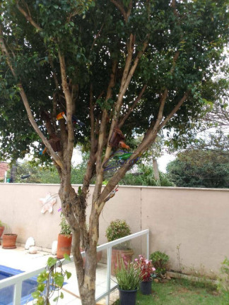 Imagem Casa com 5 Quartos à Venda, 190 m² em Granja Viana - Carapicuíba