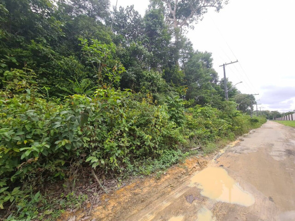 Terreno à Venda, 100 m² em Tarumã-açu - Manaus