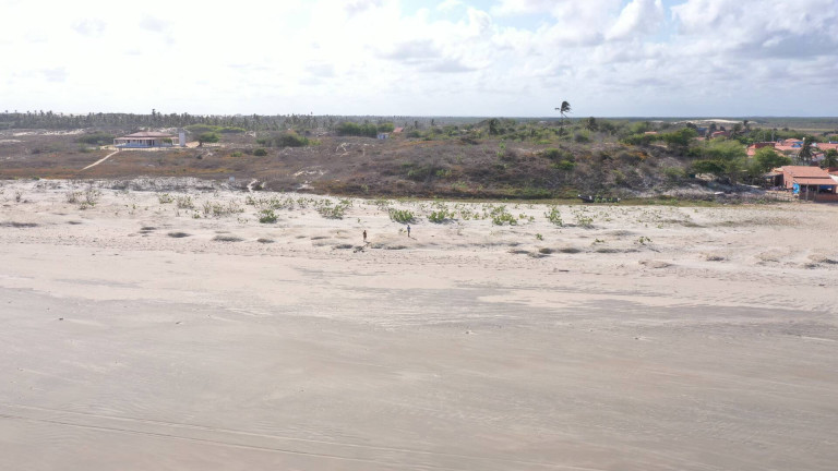 Imagem Terreno à Venda, 1.000 m² em Praia De Bitupitá - Barroquinha Imagem Terreno à Venda, 1.000 m² em Praia De Bitupitá - Barroquinha