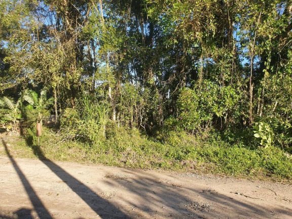 Imagem Terreno à Venda, 405 m² em Costeira - Balneário Barra Do Sul Imagem Terreno à Venda, 405 m² em Costeira - Balneário Barra Do Sul