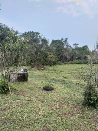 Imagem Chácara com 4 Quartos à Venda, 2.000 m² em Chácaras Indaiá - Itanhaém Imagem Chácara com 4 Quartos à Venda, 2.000 m² em Chácaras Indaiá - Itanhaém