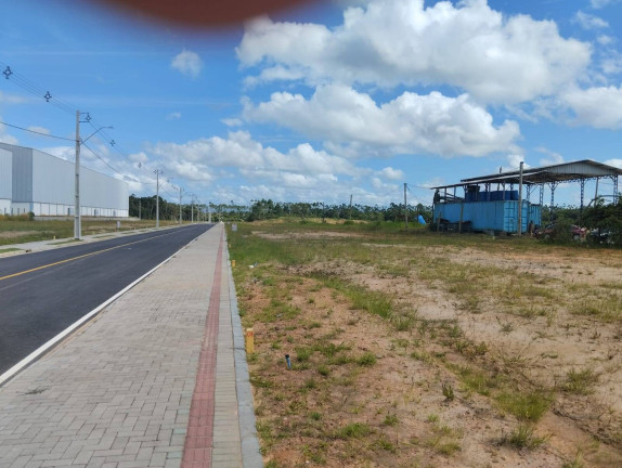 Imagem Terreno em Condomínio à Venda, em Araquari Imagem Terreno em Condomínio à Venda, em Araquari