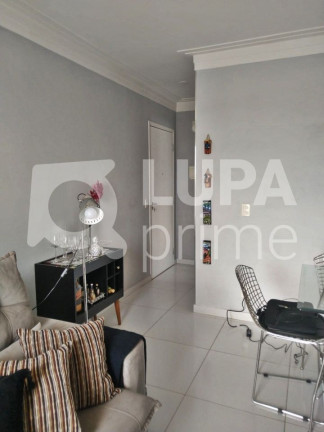 Imagem Apartamento com 3 Quartos à Venda, 66 m² em Vila Guilherme - São Paulo