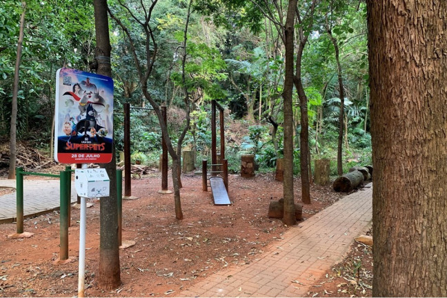 Imagem Apartamento com 3 Quartos à Venda, 73 m² em Vila Amélia - São Paulo