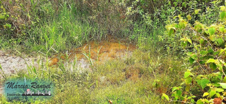Imagem Imóvel à Venda, 31.000 m² em Caxeta - Campos Dos Goytacazes Imagem Imóvel à Venda, 31.000 m² em Caxeta - Campos Dos Goytacazes