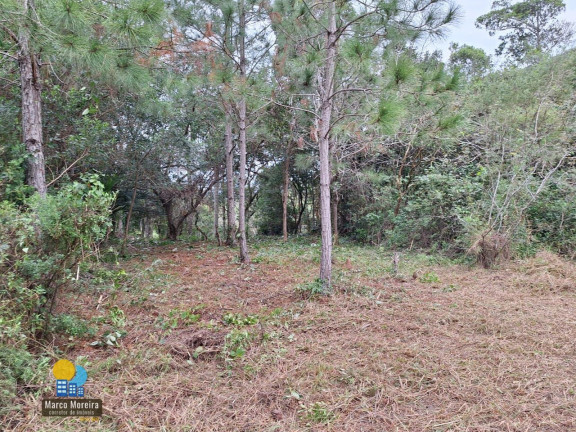 Imagem Terreno à Venda, 8.610 m² em São João Do Rio Vermelho - Florianópolis Imagem Terreno à Venda, 8.610 m² em São João Do Rio Vermelho - Florianópolis