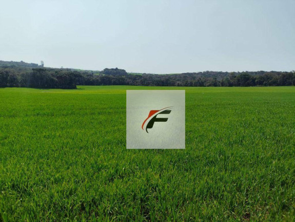 Imagem Fazenda à Venda, 847.000 m² em Centro - Lapa Imagem Fazenda à Venda, 847.000 m² em Centro - Lapa