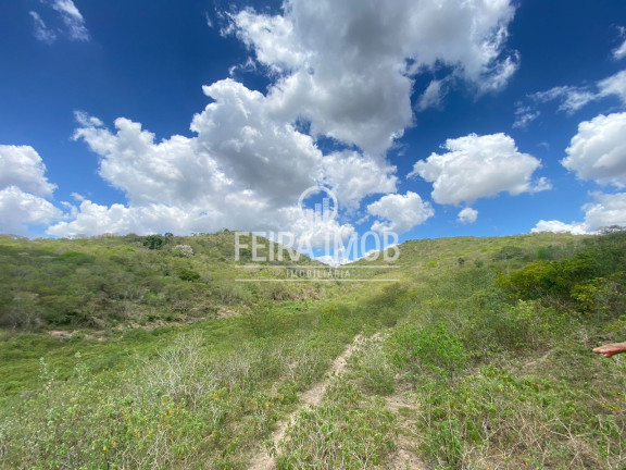 Imagem Fazenda à Venda, 492.228 m² em Ipuaçu / Santa Rosa - Feira De Santana Imagem Fazenda à Venda, 492.228 m² em Ipuaçu / Santa Rosa - Feira De Santana
