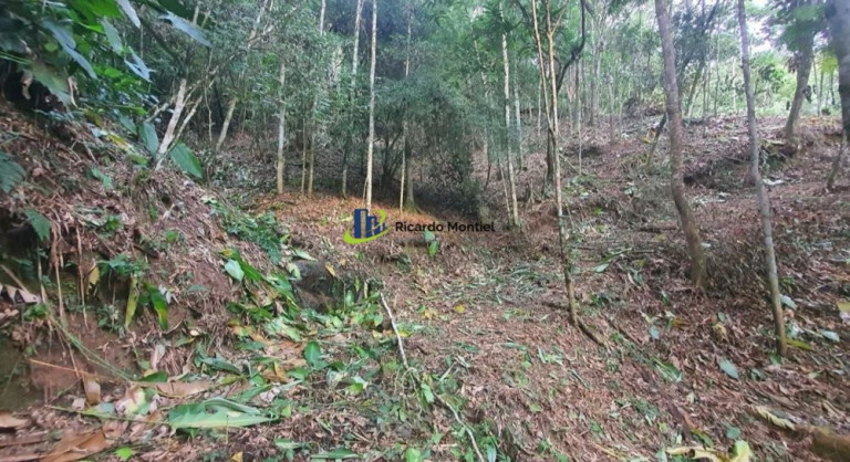 Imagem Imóvel à Venda,  em Centro - Camboriú