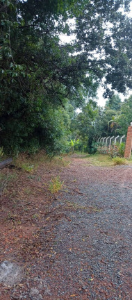Imagem Chácara com 3 Quartos à Venda, 6.000 m² em Buenos - Piedade